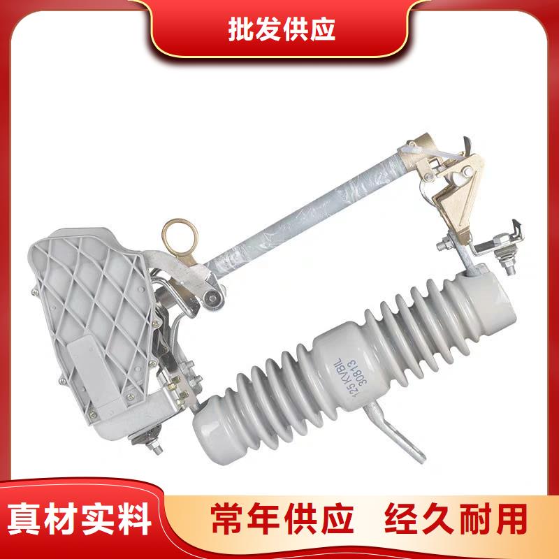 PD4-11/100A跌落保险樊高