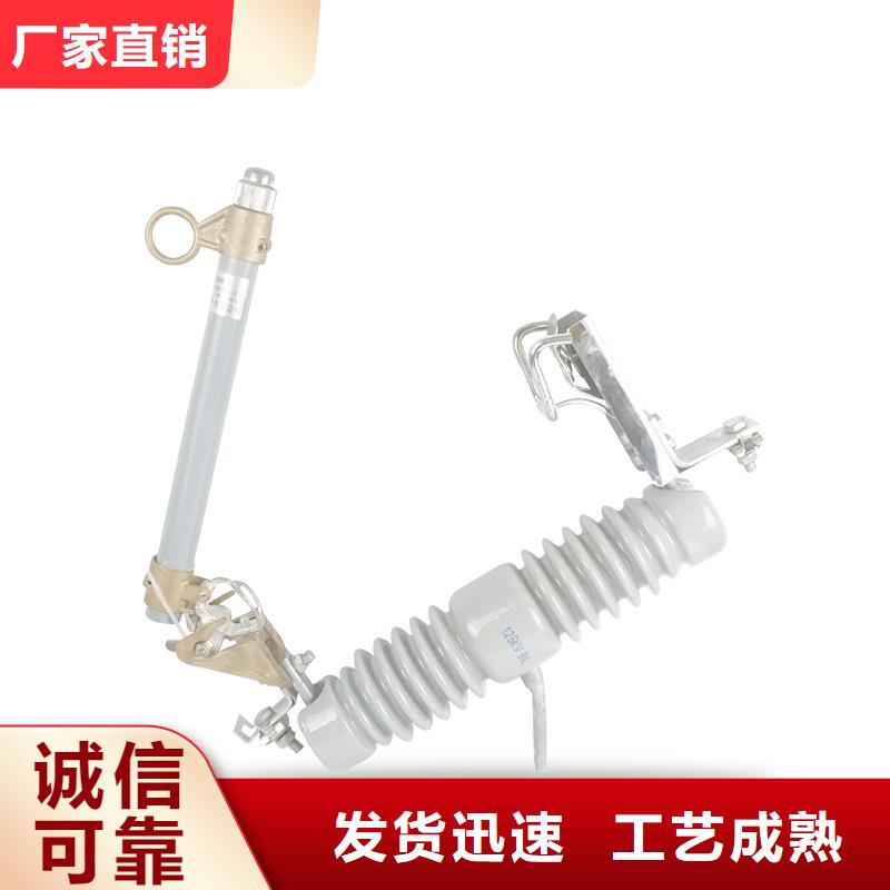 熔断器氧化锌避雷器打造行业品质樊高跌落式熔断器供应