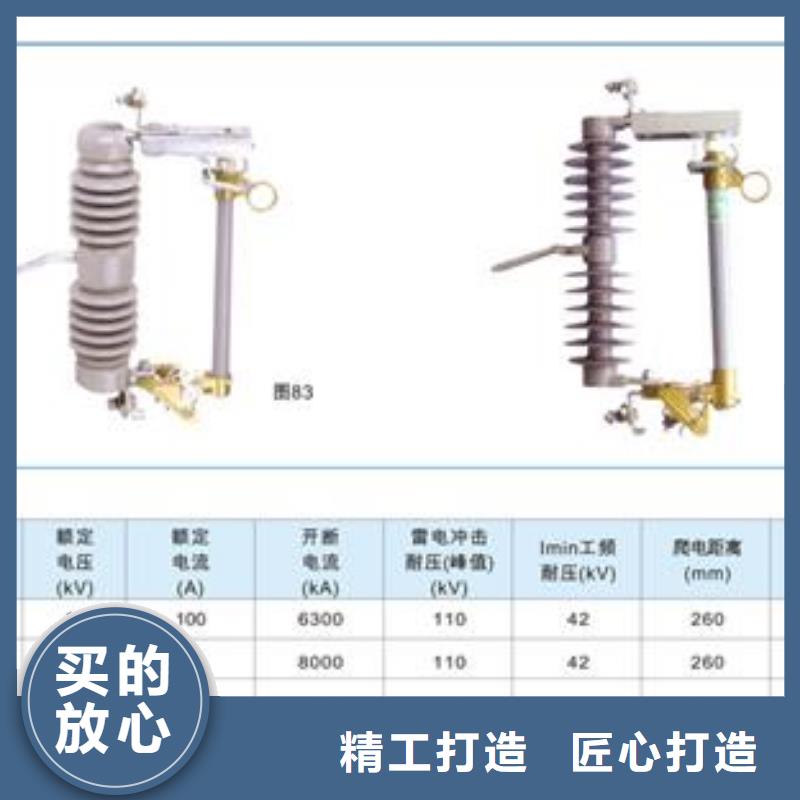 PD4-11/100A跌落保险樊高
