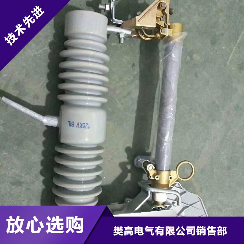 【 熔断器_限流熔断器认准大品牌厂家】-樊高电气销售部(周口市分公司)