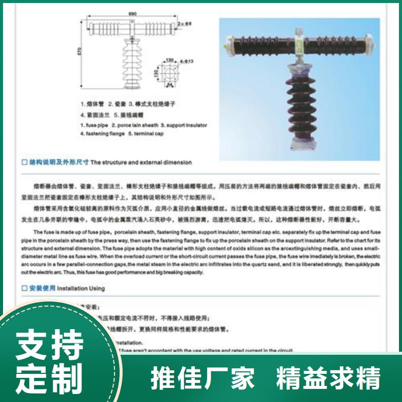 熔断器氧化锌避雷器打造行业品质樊高跌落式熔断器供应