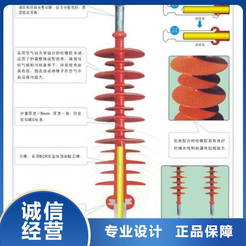 跌落式熔断器供应樊高绝缘子氧化锌避雷器严格把控每一处细节