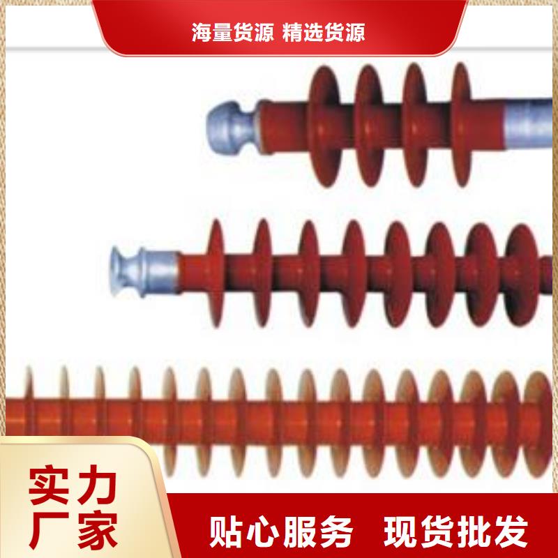 绝缘子-真空断路器厂家源头采购