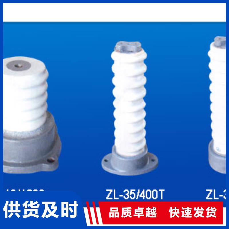 绝缘子 【氧化锌避雷器】厂家采购|白云|荔湾|东莞|潮州|深圳|肇庆|汕尾28354.com
