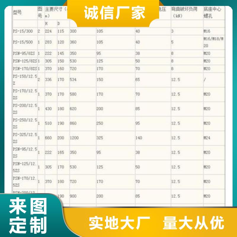绝缘子-真空断路器厂家源头采购