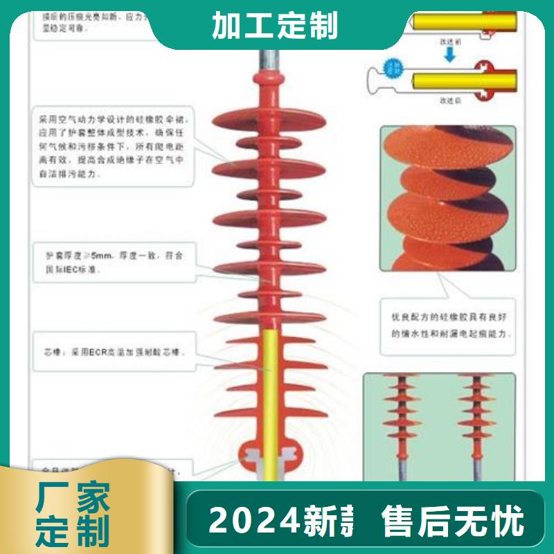 绝缘子 【氧化锌避雷器】厂家采购|白云|荔湾|东莞|潮州|深圳|肇庆|汕尾28354.com