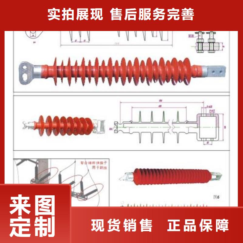 绝缘子限流熔断器质量看得见樊高跌落式熔断器供应