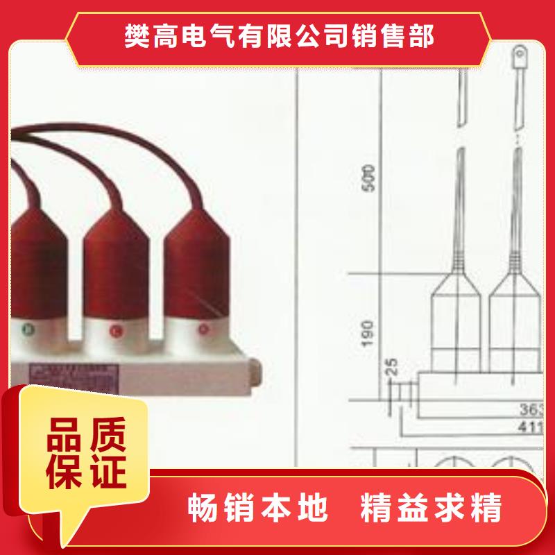 樊高跌落式熔断器供应过电压保护器真空断路器厂家十分靠谱