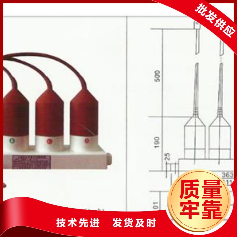 XHQ5-12.7/36三相组合式过电压保护器樊高电气