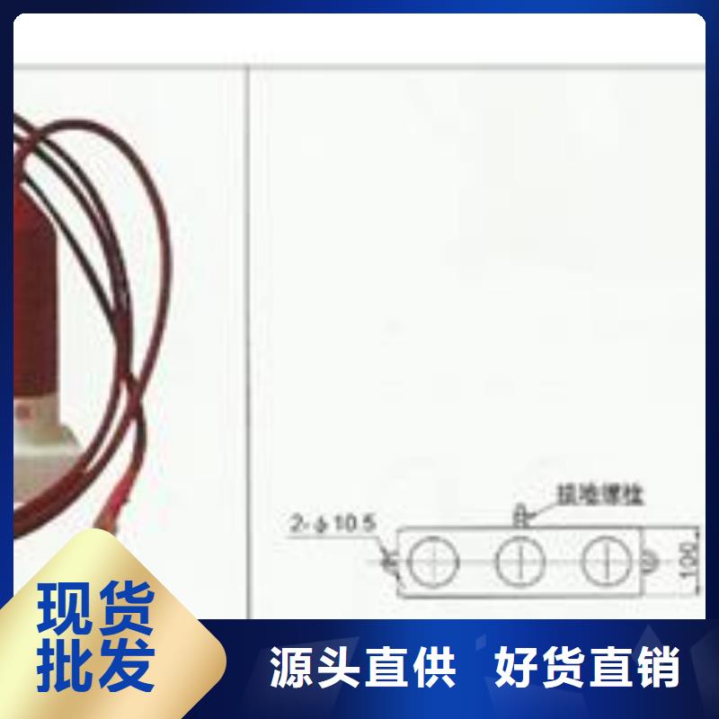 【过电压保护器】-氧化锌避雷器可定制有保障|保康|宜城|随州|黄冈|荆门|武汉|恩施|十堰|鄂州28354.com