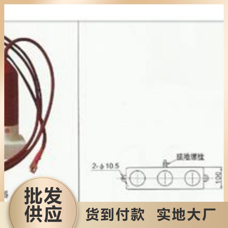 精工打造过电压保护器高低压电器诚信经营现货现发由樊高为您