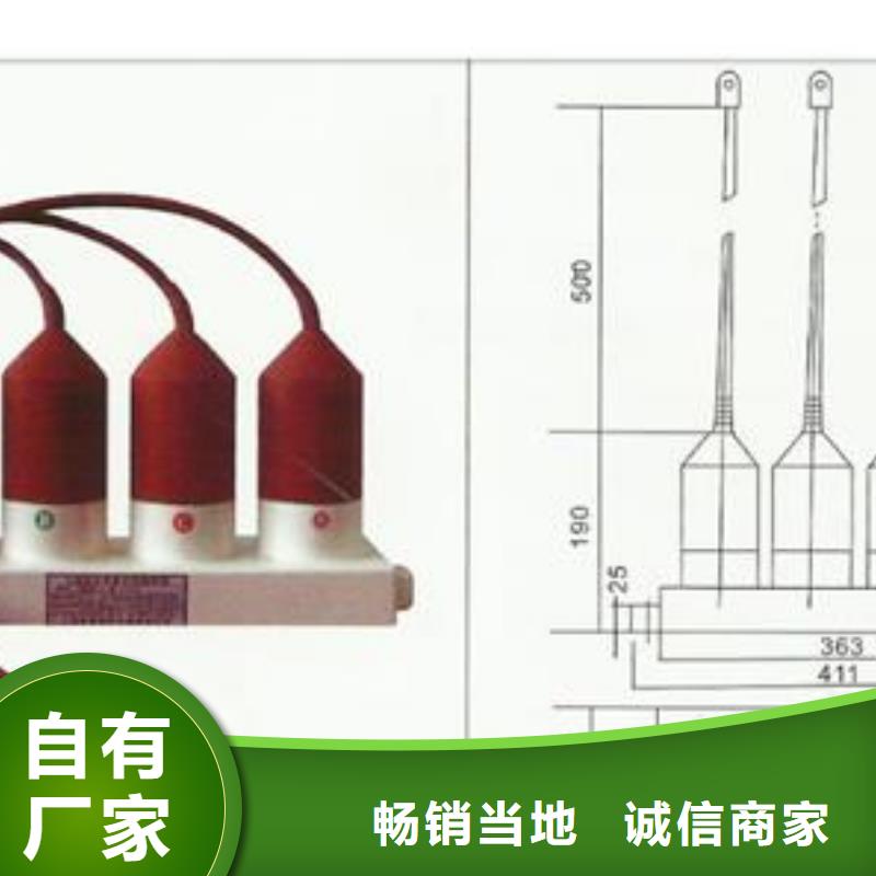 【过电压保护器_固定金具厂家品质保障售后无忧】