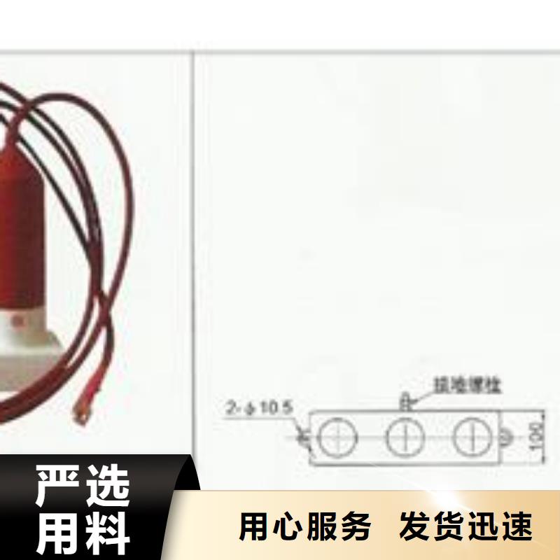 过电压保护器_【真空断路器】真诚合作本地品牌