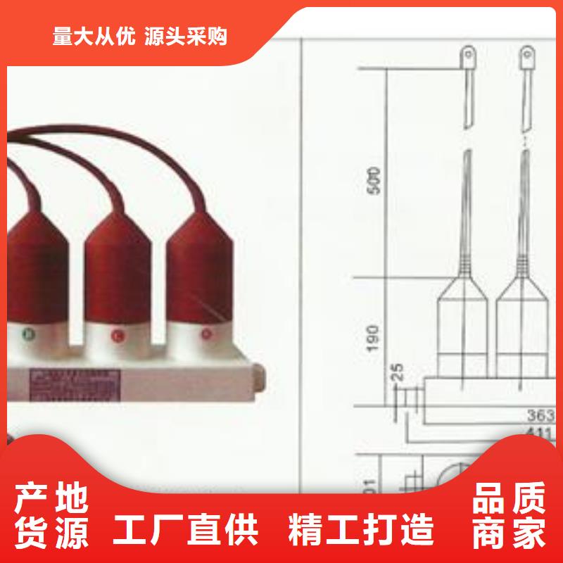 过电压保护器_【真空断路器】真诚合作本地品牌