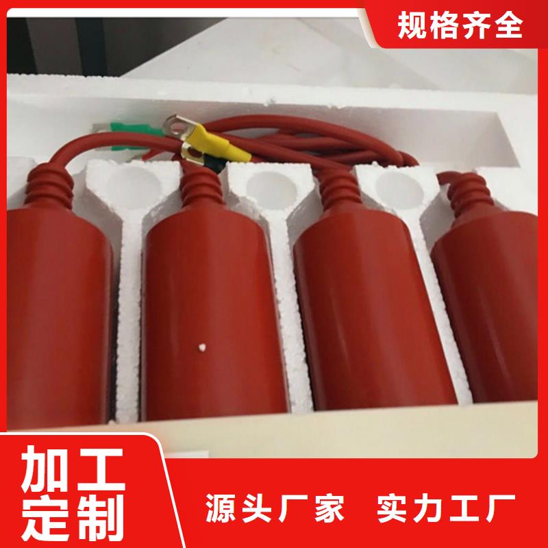 过电压保护器跌落式熔断器多种款式可随心选择|跌落式熔断器供应-樊高电气销售部(牡丹江市分公司)