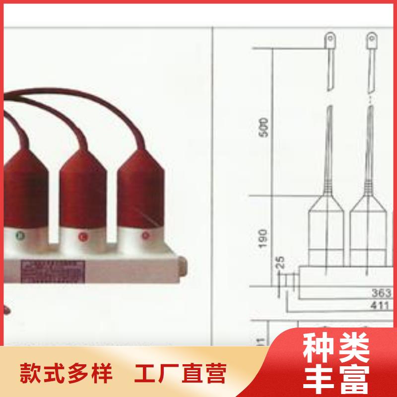 樊高过电压保护器高压开关柜订制批发-二八商务