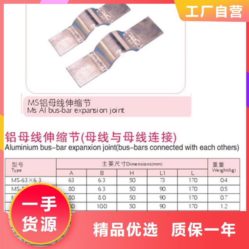 母线金具限流熔断器质检严格放心品质-樊高电气销售部(玉林市分公司)-二八商务