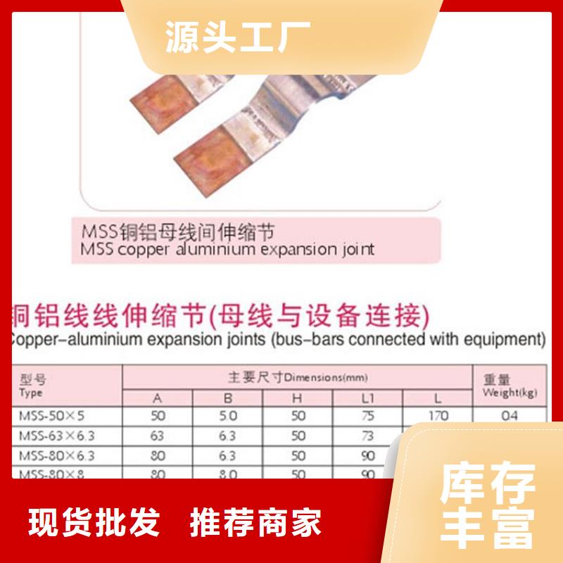 母线金具穿墙套管实力商家_樊高电气销售部(重庆市分公司)