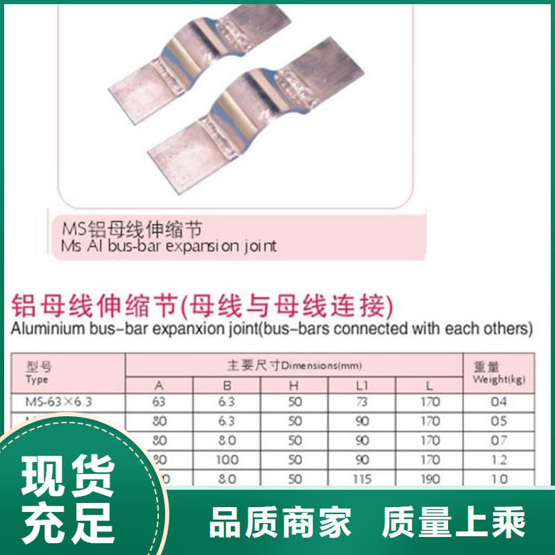母线金具穿墙套管实力商家_樊高电气销售部(重庆市分公司)