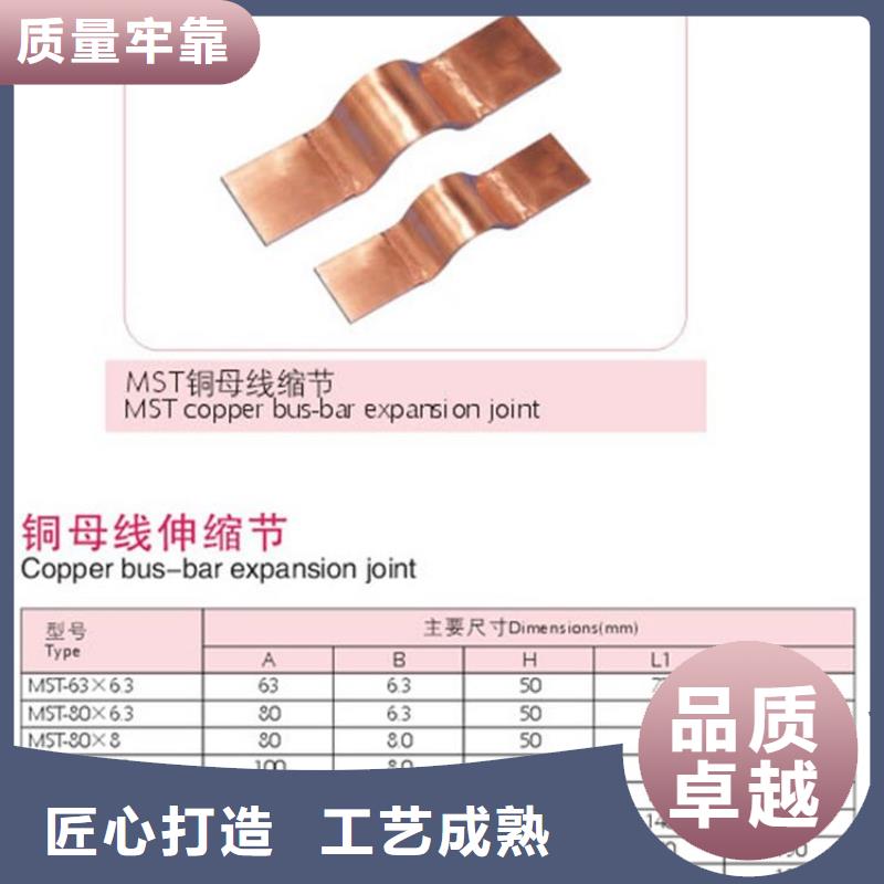 母线金具限流熔断器质检严格放心品质-樊高电气销售部(玉林市分公司)-二八商务