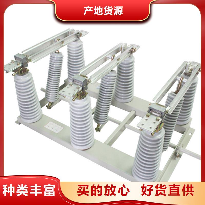 卓越品质保障 隔离开关-【绝缘子】符合行业标准