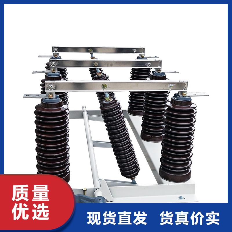 卓越品质保障 隔离开关-【绝缘子】符合行业标准