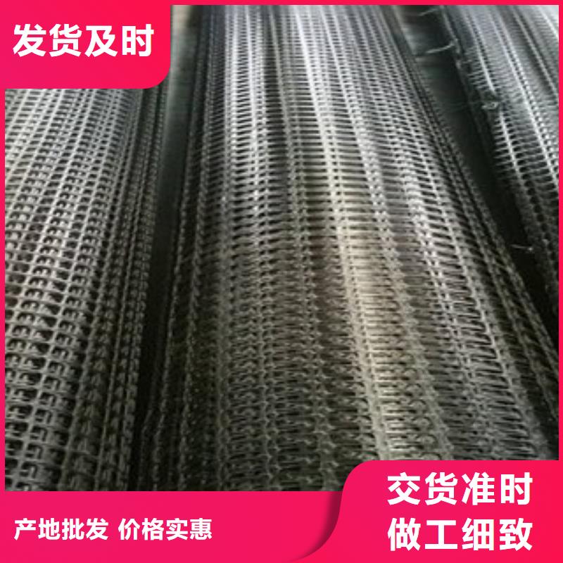 双向塑料格栅膨润土防水毯原厂制造