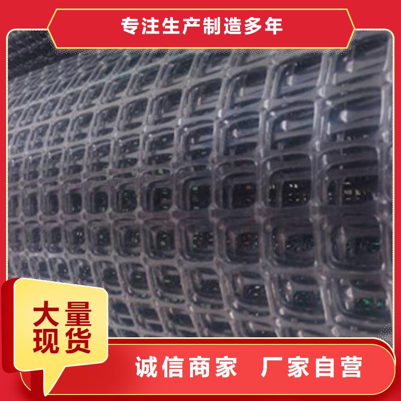 双向塑料格栅钢塑土工格栅厂家大量现货