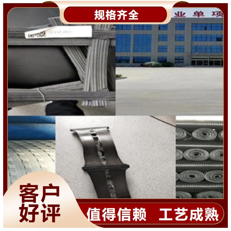 双向塑料格栅膨润土防水毯原厂制造