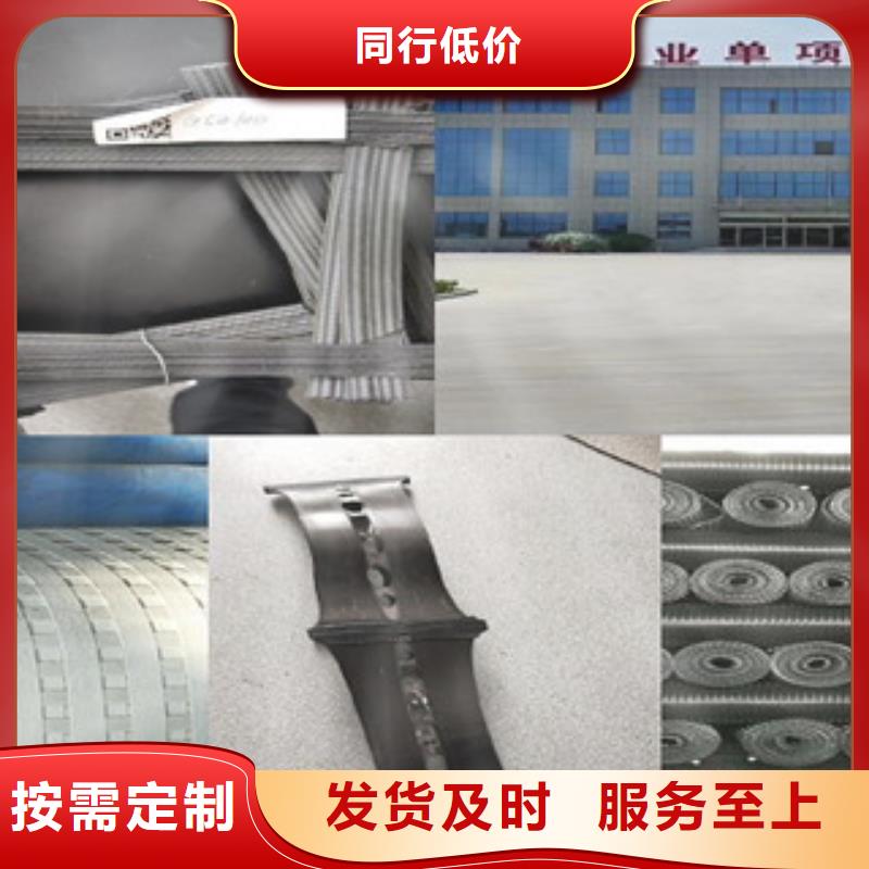 双向塑料格栅三维植被网品种全