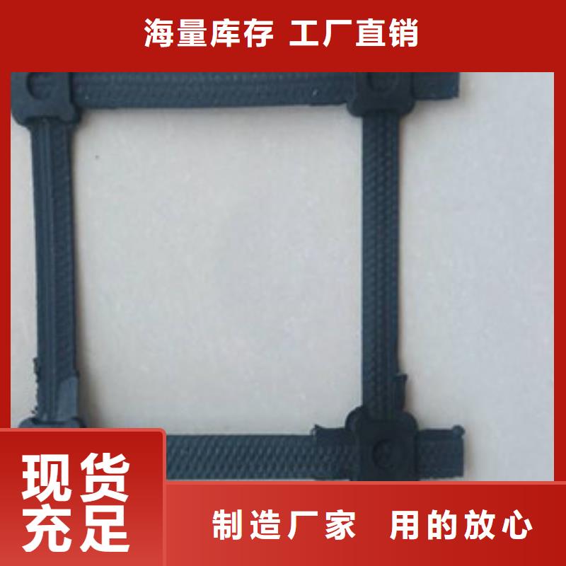 钢塑土工格栅三维植被网安心购