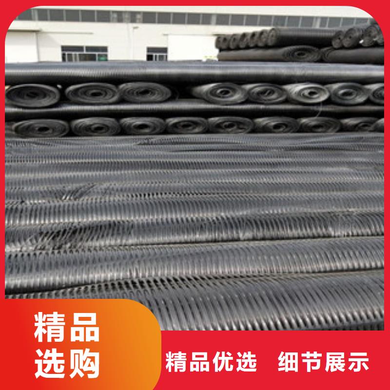 单向塑料格栅复合土工布颜色尺寸款式定制