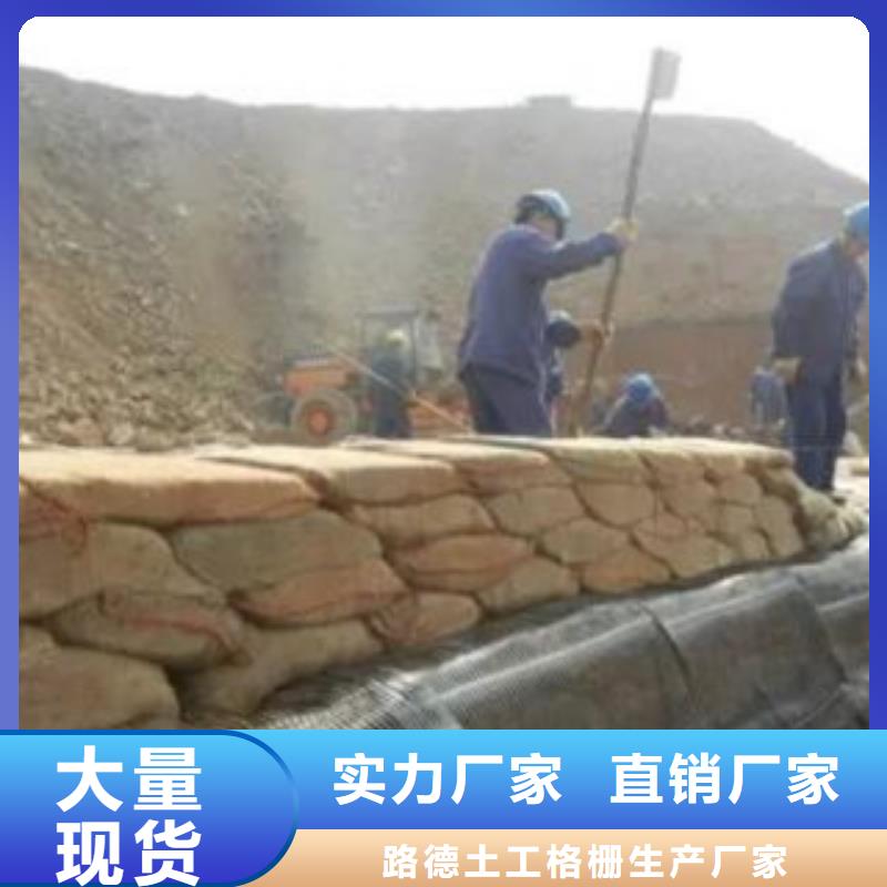 单向塑料格栅-防裂贴抗裂贴真正让利给买家
