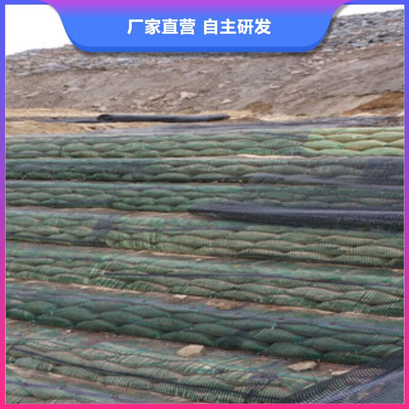 单向塑料格栅-防裂贴抗裂贴真正让利给买家