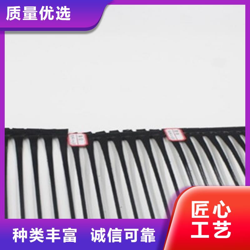 单向塑料格栅_三维植被网供应采购