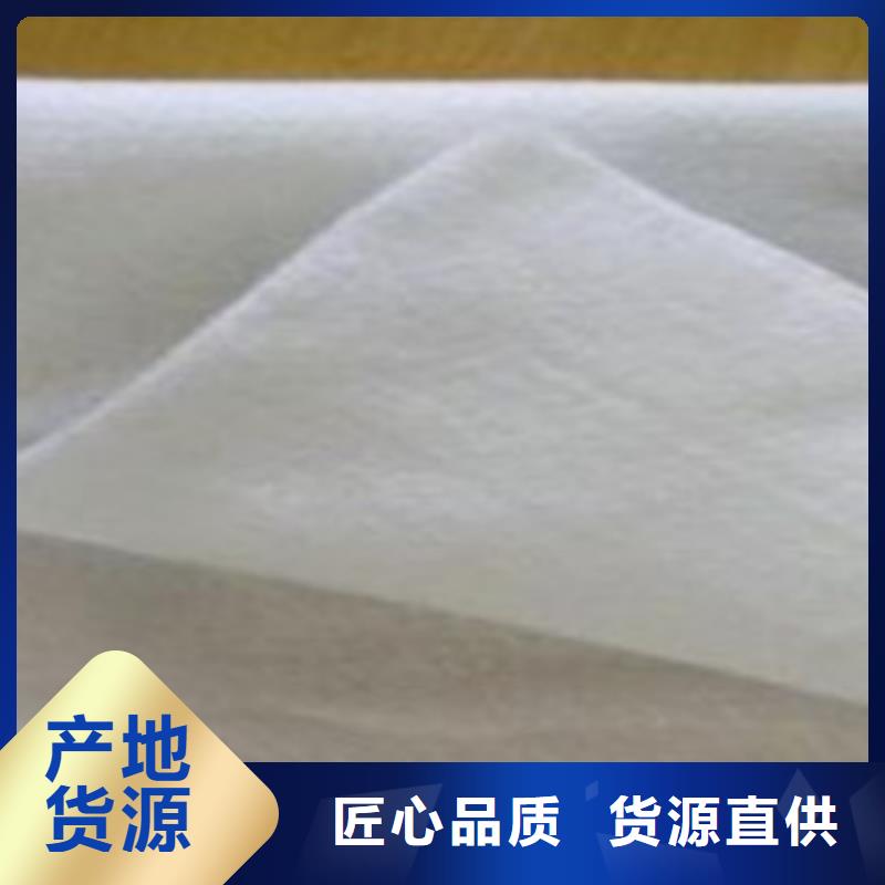 土工布三维植被网实力雄厚品质保障