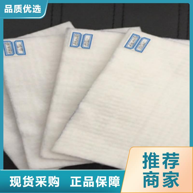 土工布三维植被网实力雄厚品质保障
