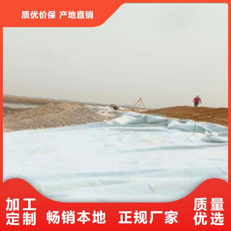 【土工布】,三维植被网一站式采购路德