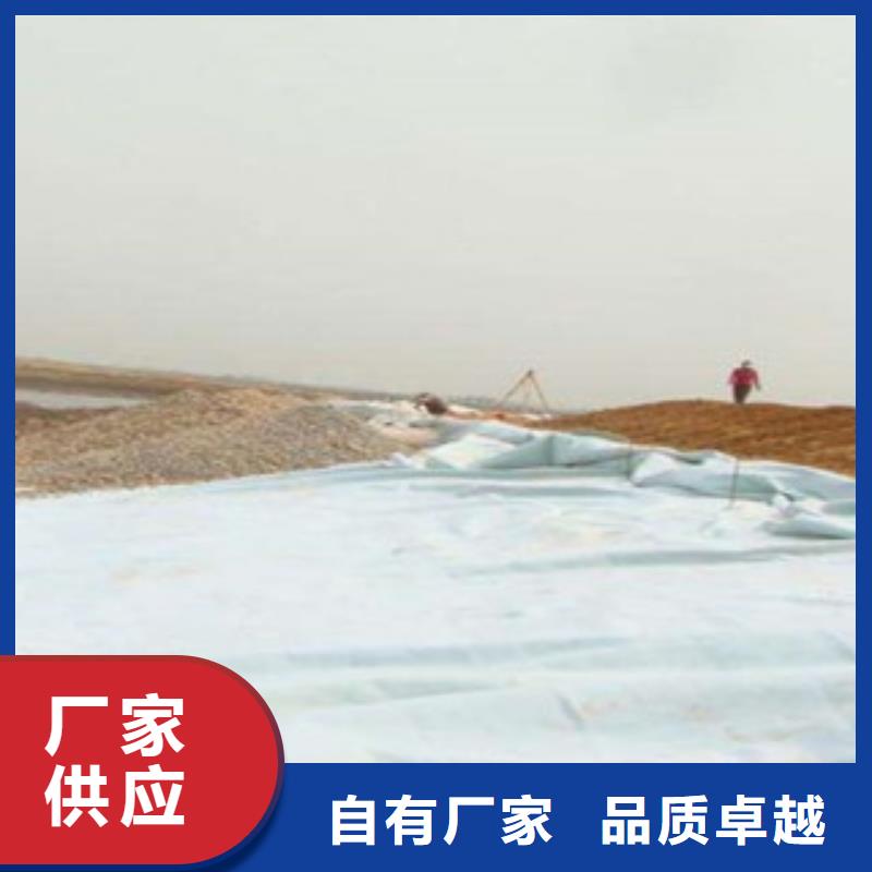 土工布复合土工布产地直销