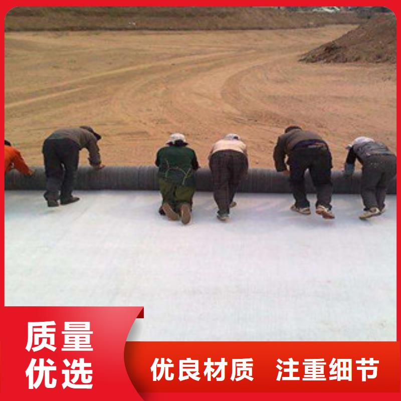 膨润土防水毯塑料土工格栅高性价比