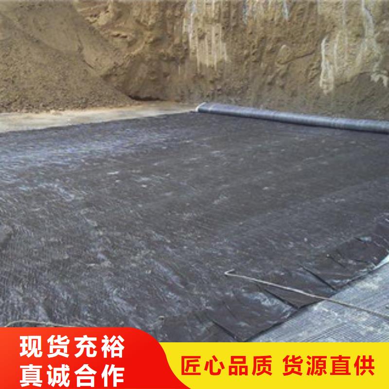 【匠心打造 膨润土防水毯 三维植被网快速发货】_本地报价