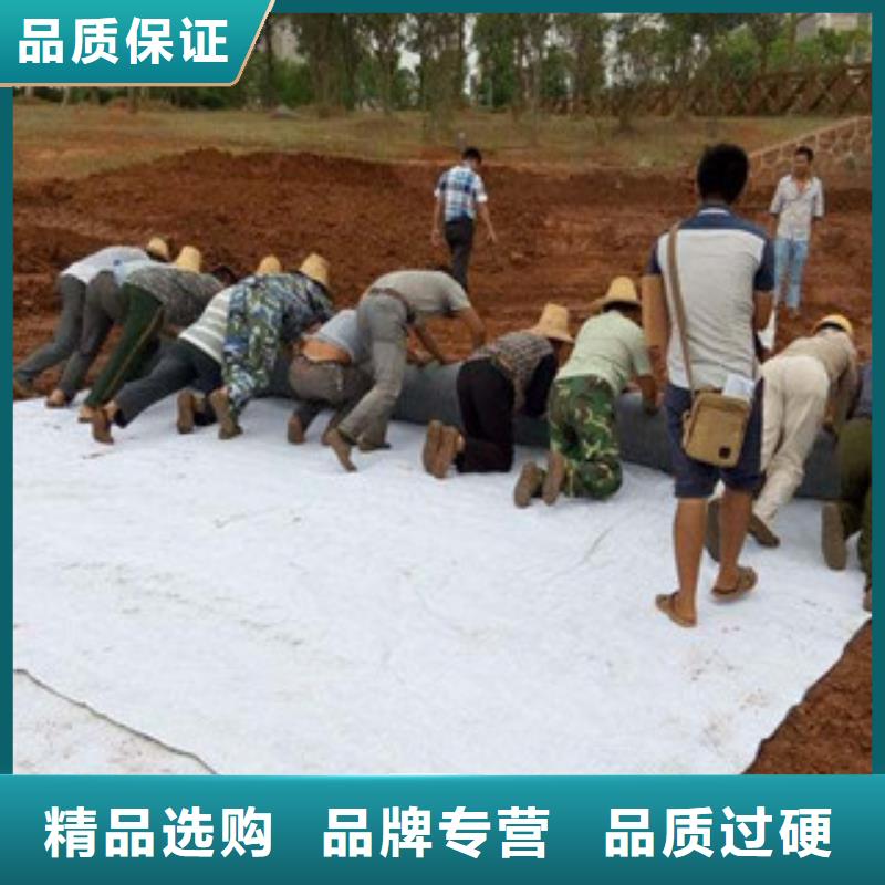 【膨润土防水毯三维植被网规格齐全】