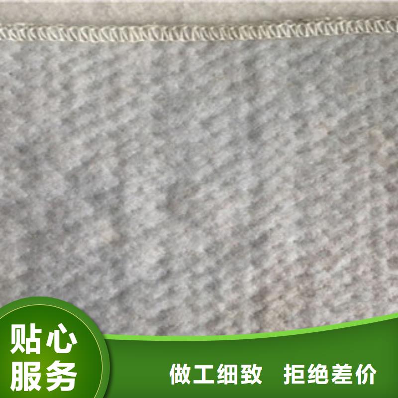 【 膨润土防水毯 三维植被网快速发货】当地公司