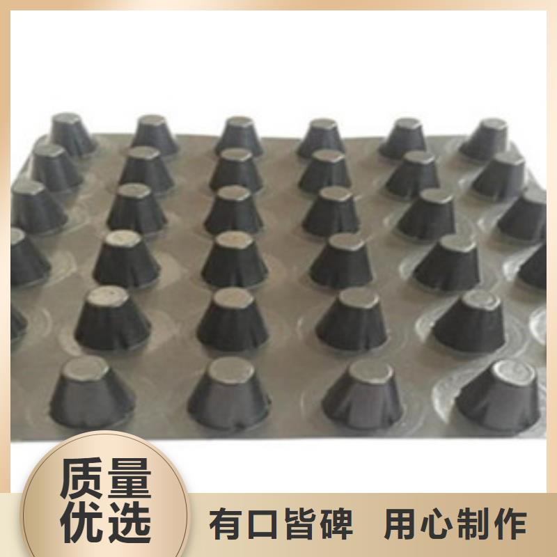 路德【 塑料排水板_塑料土工格栅不断创新】