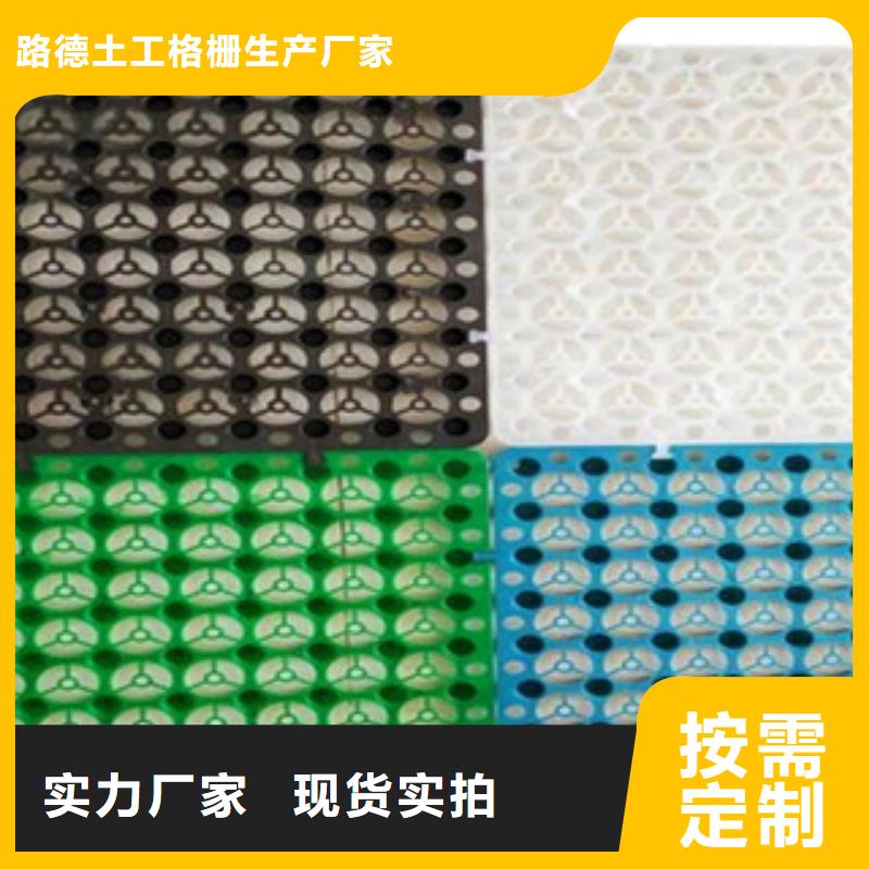 塑料排水板塑料土工格栅用心做好细节