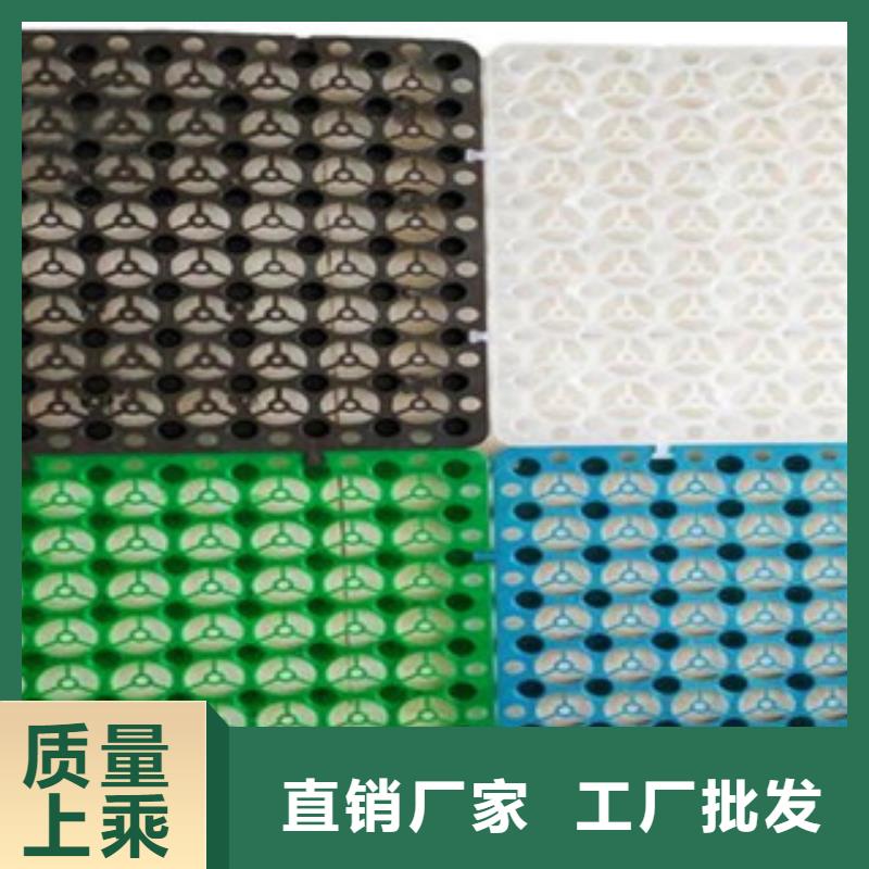 【塑料排水板】 高强度土工网服务始终如一|大石桥|盖州|沈阳|阜新|丹东|锦州生产厂家