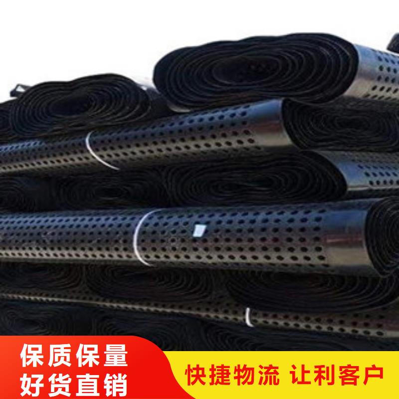 塑料排水板三维植被网厂家直营