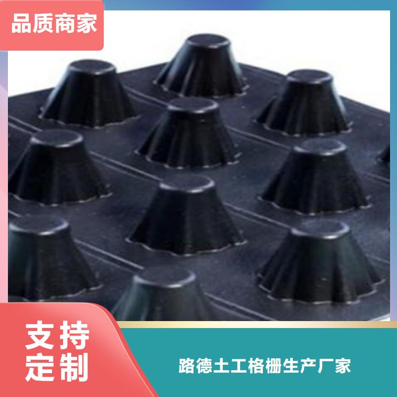 塑料排水板,三维植被网按需定做