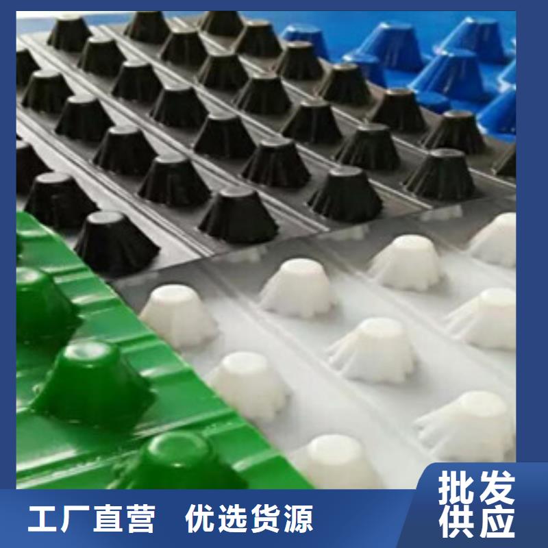 塑料排水板膨润土防水毯源头厂源头货