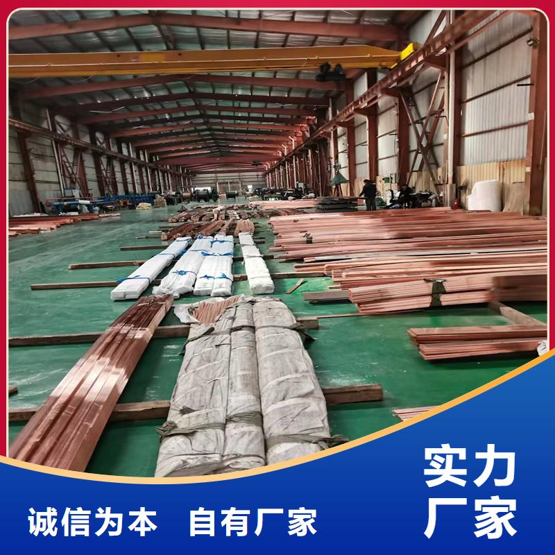 【紫铜排】-铜绞线订制批发-辰昌盛通金属材料(保山市分公司)-二八商务
